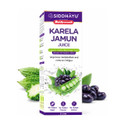 Baidyanath Karela Jamun Juice | Diabetic Care | Controls Blood Sugar Levels - 1L