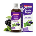 Baidyanath Karela Jamun Juice Ayurvedic Support for Healthy Blood Sugar