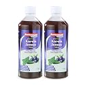 Baidyanath Premium Karela Jamun Juice - 1L (Pack of 2) | Supports Healthy Blood Sugar Levels Naturally |