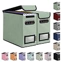 BALEINE File Organizer Box with Lid, Collapsible Hanging File Storage Box