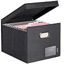 BALEINE File Organizer Box with Lid, Collapsible Hanging File Storage Box