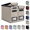 BALEINE File Organizer Box with Lid, Collapsible Hanging File Storage Box