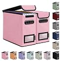 BALEINE File Organizer Box with Lid, Collapsible Hanging File Storage Box
