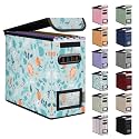 BALEINE File Organizer Box with Lid, Collapsible Hanging File Storage Box