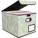 BALEINE File Organizer Box with Lid, Collapsible Hanging File Storage Box