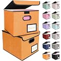 BALEINE File Organizer Box with Lid, Collapsible Hanging File Storage Box