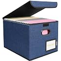 BALEINE File Organizer Box with Lid, Collapsible Hanging File Storage Box