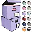 BALEINE File Organizer Box with Lid, Collapsible Hanging File Storage Box