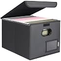 BALEINE File Organizer Box with Lid, Collapsible Hanging File Storage Box