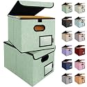 BALEINE File Organizer Box with Lid, Collapsible Hanging File Storage Box