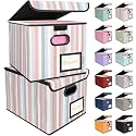 BALEINE File Organizer Box with Lid, Collapsible Hanging File Storage Box