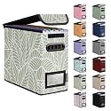 BALEINE File Organizer Box with Lid, Collapsible Hanging File Storage Box