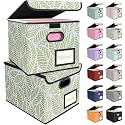 BALEINE File Organizer Box with Lid, Collapsible Hanging File Storage Box