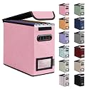 BALEINE File Organizer Box with Lid, Collapsible Hanging File Storage Box
