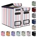 BALEINE File Organizer Box with Lid, Collapsible Hanging File Storage Box