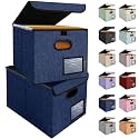 BALEINE File Organizer Box with Lid, Collapsible Hanging File Storage Box