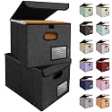 BALEINE File Organizer Box with Lid, Collapsible Hanging File Storage Box