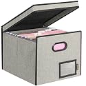 BALEINE File Organizer Box with Lid, Collapsible Hanging File Storage Box