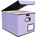 BALEINE File Organizer Box with Lid, Collapsible Hanging File Storage Box