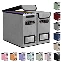 BALEINE File Organizer Box with Lid, Collapsible Hanging File Storage Box
