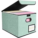 BALEINE File Organizer Box with Lid, Collapsible Hanging File Storage Box