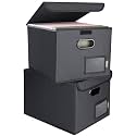 BALEINE File Organizer Box with Lid, Collapsible Hanging File Storage Box