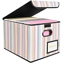 BALEINE File Organizer Box with Lid, Collapsible Hanging File Storage Box