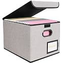 BALEINE File Organizer Box with Lid, Collapsible Hanging File Storage Box