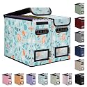 BALEINE File Organizer Box with Lid, Collapsible Hanging File Storage Box