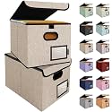 BALEINE File Organizer Box with Lid, Collapsible Hanging File Storage Box
