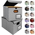 BALEINE File Organizer Box with Lid, Collapsible Hanging File Storage Box