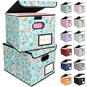 BALEINE File Organizer Box with Lid, Collapsible Hanging File Storage Box