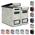 BALEINE File Organizer Box with Lid, Collapsible Hanging File Storage Box