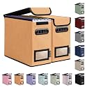 BALEINE File Organizer Box with Lid, Collapsible Hanging File Storage Box