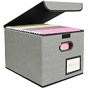 BALEINE File Organizer Box with Lid, Collapsible Hanging File Storage Box