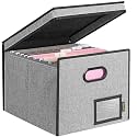 BALEINE File Organizer Box with Lid, Collapsible Hanging File Storage Box