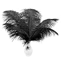 Ballinger Black Large Ostrich Feathers Bulk Centerpieces,24Pcs,10-12inch