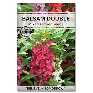 navika seeds  grow with us balsam flower seeds for home gardening perfect for home amp terrace gardening winter and summer blooms in india - includes free e-book