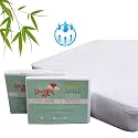 Bamboo Rayon Baby Crib Mattress Protector - Waterproof Breathable Cooling Fitted Mattress Cover 28x52 inches (2 Pack)