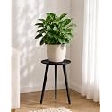 Bamworld Tall Plant Stand Indoor Wood Plant Table for Large Plant