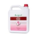 Banjara's Premium Rose Water (Oil) | Enriched with rose oil |Pack of 1, 5 LTR