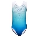 BAOHULU Gymnastics Leotards for Toddler Girls Shiny Lace Spliced Dance Outfit Athletic Apparel