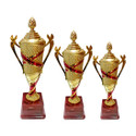 BAREEZÉ PURE Trophy Celebrations, , Appreciation , Sport, Academy, Awards Teachers Students Trophy