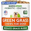 BARK&SPARK Green Grass Chews for Dogs – Pee & Urine Neutralizer for Lawn