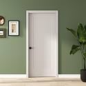 BARNSMITH 34x80 in 1-Panel White Primed Interior Door Panel