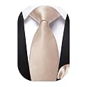 Barry.Wang Boys Ties Pre-Tied Satin Solid Color Kids Tie Pocket Square Set Adjustable Formal Necktie Graduation School