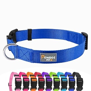 basic dog collar adjustable nylon for large dogsblue