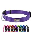 Basic Dog Collar, Adjustable Nylon for Large Dogs, Purple