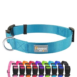 basic dog collar adjustable nylon for medium dogs light blue
