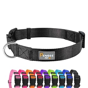 basic dog collar adjustable nylon for medium dogs black